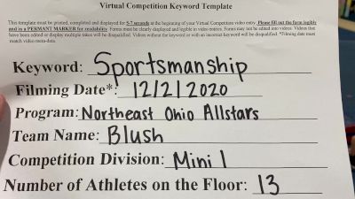 Northeast Ohio All Stars - Blush [Level 1 L1 Mini] Varsity All Star Virtual Competition Series: Event VI