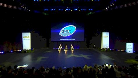 Cactus Shadows High School [2020 Junior Varsity Pom Semis] 2020 UDA National Dance Team Championship