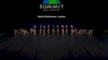 Dancin Bluebonnets - Juniors [2021 Junior Coed Contemporary / Lyrical Finals] 2021 The Dance Summit