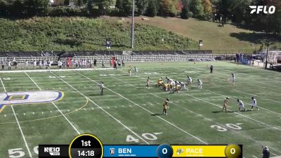 Highlights: Bentley vs Pace University | 2024 NE10 Football