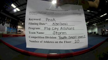 Flip City All Stars - Storm [L2 Youth - Small] 2021 The Regional Summit Virtual Championships