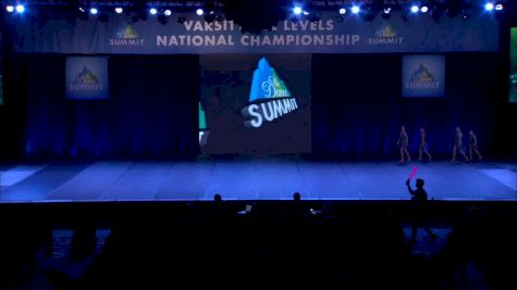 Ultimate Dance & Cheer - Indigo [2019 Large Mini Contemporary/Lyrical Finals] 2019 The Summit