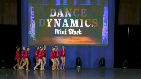 Dance Dynamics Mini Black [2019 Mini Small Jazz Day 2] NDA All-Star National Championship