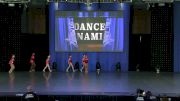 Dance Dynamics [2019 Mini Prep Jazz Day 1] NDA All-Star National Championship