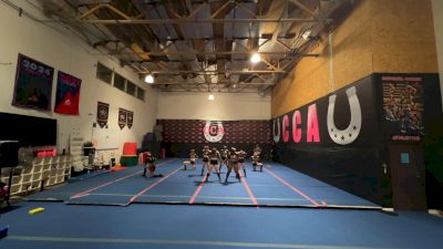 Cowgirl Athletics - Black Spades [L4.2 Senior Coed] 2026 Encore - Winter Virtual II