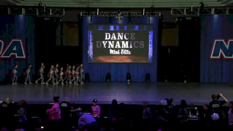 Dance Dynamics Mini Elite [2019 Mini Small Pom Day 1] NDA All-Star National Championship