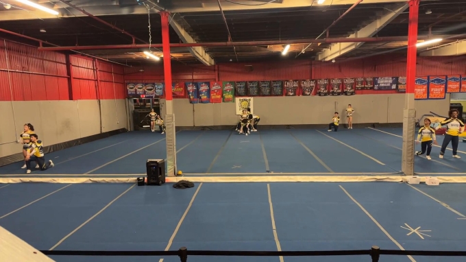 Texas Wolverine All Stars - Platinum Blades [L4 Senior Open Coed] 2026 ...