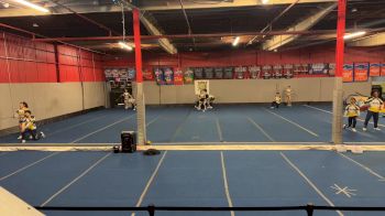 Texas Wolverine All Stars - Platinum Blades [L4 Senior Open Coed] 2026 CHEERSPORT Virtual Spring 2