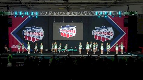 Louisiana Rebel All Stars Grace [2019 L1 Small Youth Day 2] 2019 NCA All Star National Championship