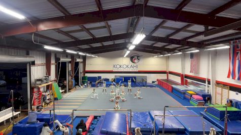 High Intensity Athletics - Hawaiian Punch [L4 Junior] 2023 CHEERSPORT Virtual Championship