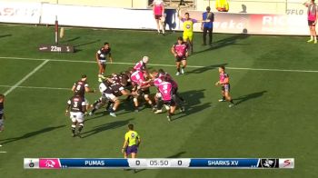 Pumas vs Sharks Extended Highlights