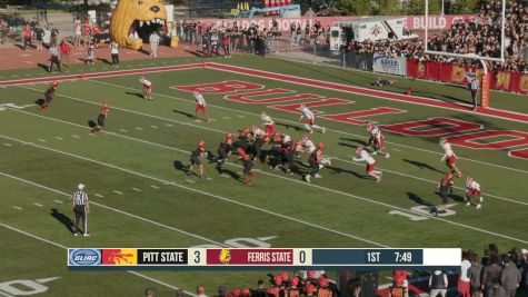 Every Touchdown From Ferris State in 2025 | Ferris State Football Highlights