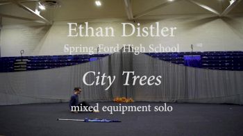 Ethan Distler - City Trees