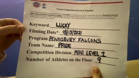 Pennsbury Falcons Cheer - PRIDE [L1 Performance Recreation - 8 and Younger (NON)] 2021 NCA & NDA Virtual March Championship