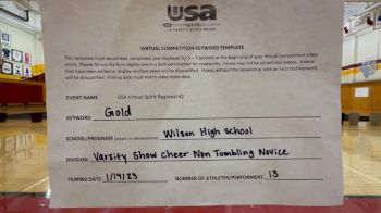 Wilson High School [Varsity Show Cheer Non-Tumbling Novice] 2023 USA Virtual Spirit Regional II