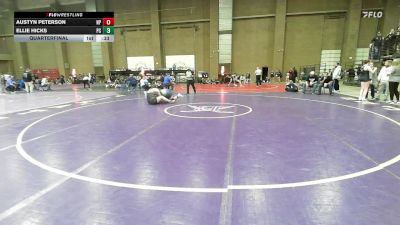 235 lbs Quarterfinal - Austyn Peterson, North Point vs Ellie Hicks, Pine Creek