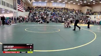 120 lbs Champ. Round 2 - Cam Haynes, NORTH ROYALTON vs Mason Mendise, COPLEY