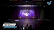 Empire Gym - MINI MONSTERS [2025 Mini - Hip Hop - Small Day 2] 2025 Power Dance Grand Nationals