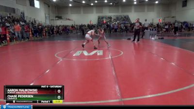 95 lbs Quarterfinal - Chase Pedersen, Lakeville vs Aaron Malikowski, Pursuit Wrestling Minnesota