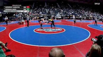 2A-144 lbs Champ. Round 1 - Aundreay Hamilton, Sonoraville vs Jeremiah Amos, Cook