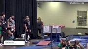Taylor Hoskins - Women's Group, Twisters Gymnastics Inc. - 2021 Women's Xcel Region 4 Championships