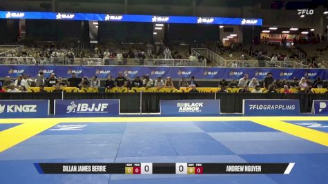 Andrew Nguyen vs Dillan James Berrie 2026 Pan Jiu Jitsu IBJJF Championship