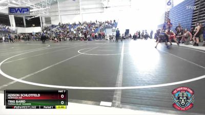 82 lbs Cons. Semi - Trig Baird, Topeka Blue Thunder vs Adison Schlotfeld, Nebraska WA