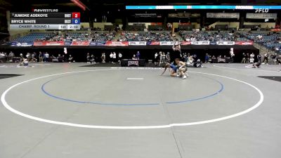 131 lbs Champ. Round 1 - Jumoke Adekoye, Dickinson State vs Bryce White, Oklahoma City