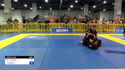 Mark J. Vives vs Timothy Stuart 2023 American National IBJJF Jiu-Jitsu Championship