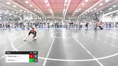 95 lbs Rr Rnd 3 - Lucas Messinger, Elite NJ MS Red vs Landon Greene, Ohio Titan