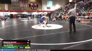 195 lbs Quarterfinal - Dillon Glick, Thunder Basin High School vs Brendyn Nelson, Natrona County