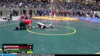 62 lbs Champ. Round 2 - De`Shavion Richey, Askeo vs Tucker Wilkinson, COWA