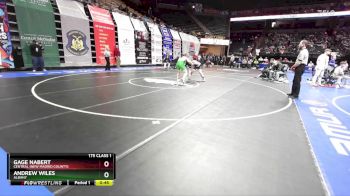 175 Class 1 lbs Cons. Round 1 - Gage Nabert, Central (New Madrid County) vs Andrew Wiles, Albany