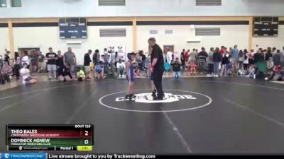 62 lbs Cons. Round 1 - Theo Bales, Contenders Wrestling Academy vs Dominick Agnew, Princeton Wrestling Club