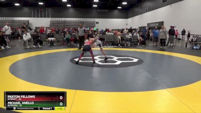 65 lbs Placement Matches (8 Team) - Paxton Fellows, Dynasty vs Michael Anello, Ruthless