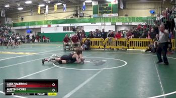 138 lbs Champ. Round 3 - Jack Valerino, AVON LAKE vs Austin McKee, BUCKEYE