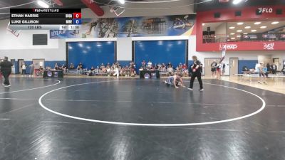 120 lbs Ethan Harris, South Carolina vs Luke Gillison, Michigan Red