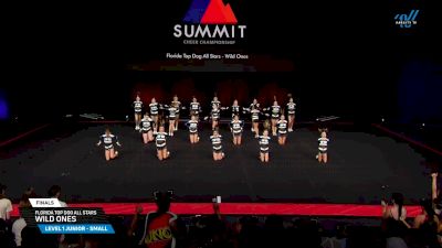 Florida Top Dog All Stars - Wild Ones [2025 L1 Junior - Small Finals] 2025 The Summit