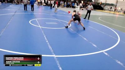 165 lbs Quarterfinal - Gavin Zoucha, Wayne State vs Damon Ferguson, Minnesota State Moorhead