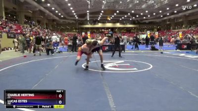 175 lbs Quarterfinal - Charlie Herting, CO vs Lucas Estes, MO