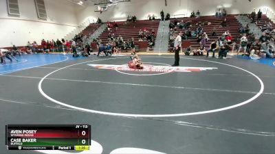 113 lbs Cons. Round 4 - Case Baker, Buffalo vs Aven Posey, Wyoming Indian