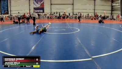 105 lbs Rd# 4- 2:00pm Friday Final Pool - Jackson Wells, VA Team Predator vs Dominique Herbert, Maryland GOLD