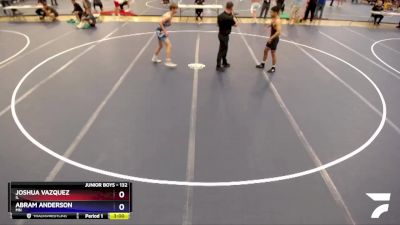 132 lbs Quarterfinal - Joshua Vazquez, IL vs Abram Anderson, MN