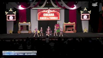 Cheaha Cheer and Tumble - Mini Mavericks [2025 L2 Mini - D2 Day 2] 2025 ASC Battle Under the Big Top Grand Nationals