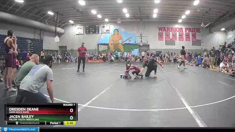 44 lbs Round 1 - Dresden Deane, Hard Rock Rams vs Jacen Bailey, Pelion Youth Wrestling