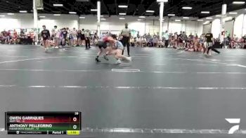113 lbs Round 2 (4 Team) - Anthony Pellegrino, Flickr Boyz Eagles vs Owen Garriques, Suzy WC