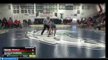 132 lbs Quarterfinal - Michael Trujillo, Liberty_AZ vs Nicholas Sauerwin, Holy Cross