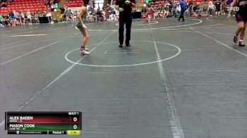 110 lbs Semis (4 Team) - Alex Baden, NMWA vs Mason Cook, Lake WC