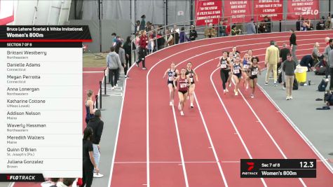 Women's 800m, Prelims 7