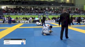 DANIEL GROOT vs CONOR PALLAT 2018 European Jiu-Jitsu IBJJF Championship